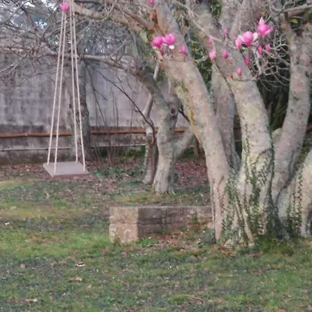 Holiday home A Santina *